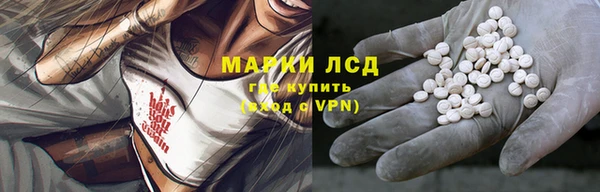 сатива Алзамай