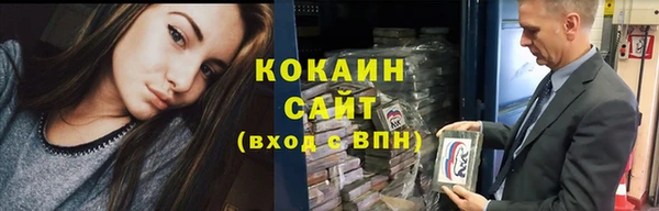 сатива Алзамай
