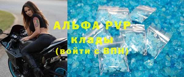 сатива Алзамай
