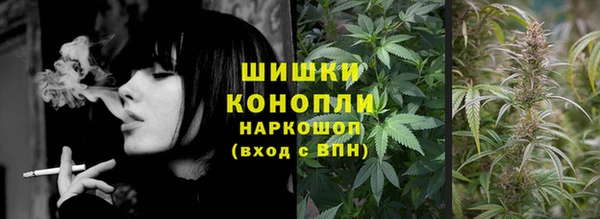 сатива Алзамай