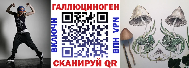Псилоцибиновые грибы Cubensis Серов