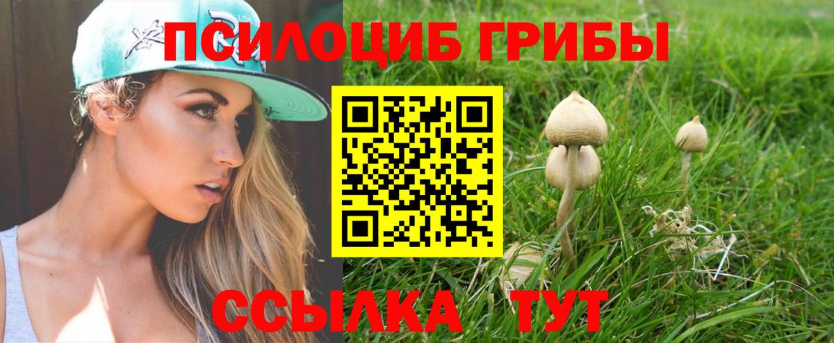 Серов  что такое   Галлюциногенные грибы мицелий  Вход с VPN  Псилоцибиновые грибы мухоморы 