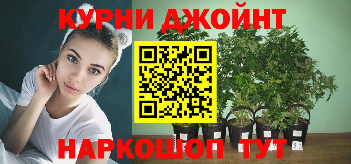 Шишки марихуана Ganja Серов